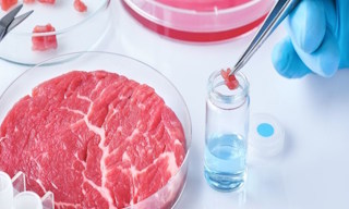 Лабораторный анализ пищевых продуктов по СанПиН в Дзержинском в октябре
