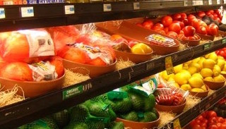Сертификация пищевой продукции в Дзержинском – цена от 10234 руб. | ПромМир-Дзж
