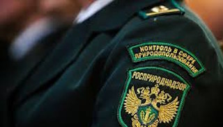 Подготовка к проверке Росприроднадзора в Дзержинском от ПромМир-Дзж, стоимость услуги от 20468 руб.